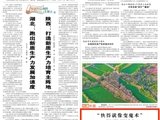 《光明日报》头版点赞青岛政务服务：“快得就像变魔术”